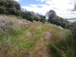 Flora del Cerro Masatrigo